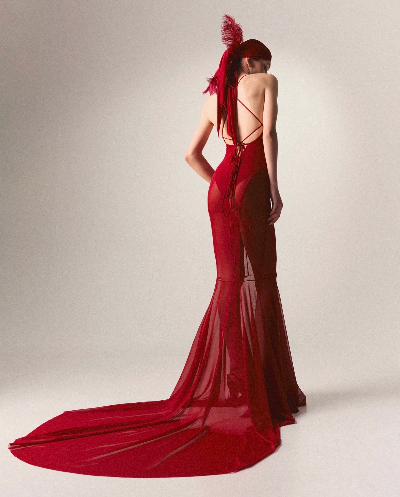Sheer Gown